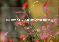 CSGO新手入门，最佳拍档之合适键盘选择