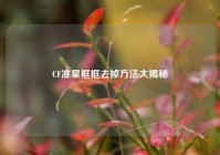 CF准星框框去掉方法大揭秘