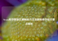 Steam库存限制正确解除方法及移除库存相关要点解析