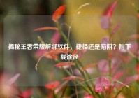 揭秘王者荣耀解绑软件，捷径还是陷阱？附下载途径