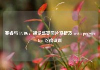 赛睿与 PUBG，视觉盛宴图片赏析及 arctis pro wireless 吃鸡设置