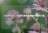 CSGO个人CFG，打造专属体验秘籍及存放位置