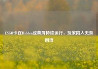 CSGO卡在Hidden或黄屏持续运行，玩家陷入无奈困境