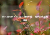 PUBG及PUBG Mobile福利领取攻略，畅享游戏福利盛宴