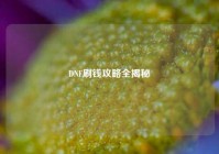 DNF刷钱攻略全揭秘
