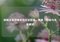 探秘王者荣耀全体玩家数量，现象、影响与未来展望