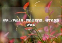 解决LOL不能全屏、两边变黑问题，畅享极致游戏体验