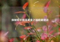 探秘和平精英黄金之城隐藏地点