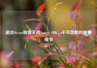 退出Steam前需关闭Source SDK，不可忽略的重要细节