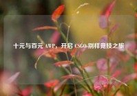 十元与百元 AWP，开启 CSGO 别样竞技之旅