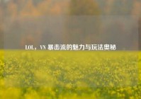 LOL，VN 暴击流的魅力与玩法奥秘