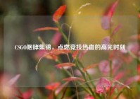 CSGO咆哮集锦，点燃竞技热血的高光时刻