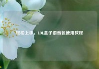 轻松上手，LOL盒子语音包使用教程