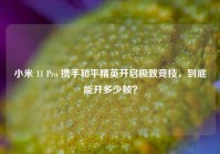 小米 11 Pro 携手和平精英开启极致竞技，到底能开多少帧？