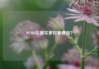 PUBG在哪买更好更便宜？