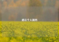 路云个人简历