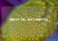 揭秘 DNF 飞机，是什么及制作方法