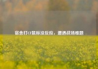 宿舍打CF鼠标没反应，遭遇战场难题