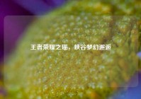 王者荣耀之瑶，峡谷梦幻邂逅