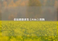 会玩绝地求生（PUBG）的狗