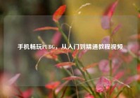 手机畅玩PUBG，从入门到精通教程视频