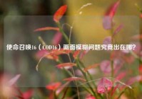 使命召唤16（COD16）画面模糊问题究竟出在哪？