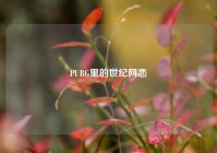 PUBG里的世纪网恋