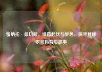 雷纳托·桑切斯，绿茵起伏与梦想，探寻其球衣号码背后故事