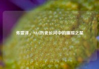 弗雷泽，NBA历史长河中的璀璨之星