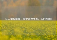 Steam举报机制，守护游戏生态，入口在哪？