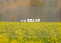 PUBG使用全攻略