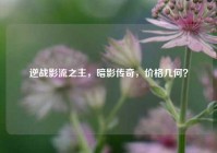 逆战影流之主，暗影传奇，价格几何？