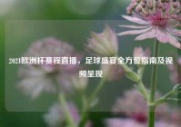 2021欧洲杯赛程直播，足球盛宴全方位指南及视频呈现