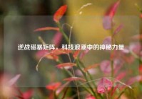 逆战磁暴矩阵，科技浪潮中的神秘力量