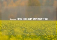 Steam，电脑应用商店里的游戏王国
