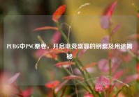 PUBG中PNC票卷，开启电竞盛宴的钥匙及用途揭秘