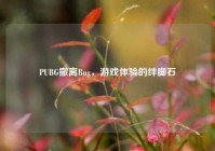PUBG撤离Bug，游戏体验的绊脚石