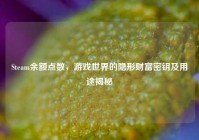 Steam余额点数，游戏世界的隐形财富密钥及用途揭秘