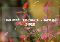 PUBG画质丝滑不卡顿秘籍大公开，解决画面不流畅难题