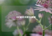 DNF刷钱攻略全揭秘