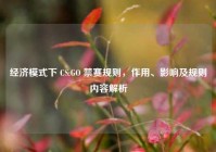 经济模式下 CS:GO 禁赛规则，作用、影响及规则内容解析