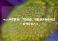 Steam申诉教程，详细指南，帮你解决账号问题并找到申诉入口