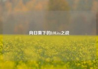向日葵下的LOLita之战