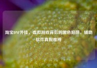 淘宝DNF外挂，虚拟游戏背后的黑色陷阱，辅助软件真假难辨