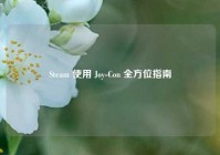 Steam 使用 Joy-Con 全方位指南