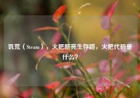 饥荒（Steam），火把照亮生存路，火把代码是什么？