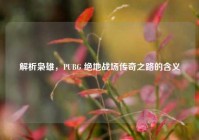 解析枭雄，PUBG 绝地战场传奇之路的含义