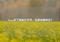 Steam补丁网址打不开，玩家出路何在？