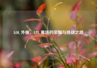 LOL 外援，LPL 赛场的荣耀与挑战之路