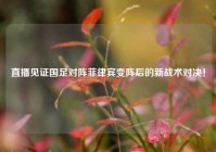直播见证国足对阵菲律宾变阵后的新战术对决！